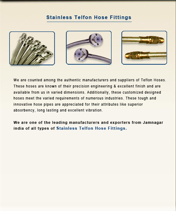 Stainless Telfon Hose Fittings